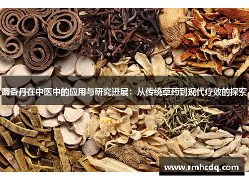 麝香丹在中医中的应用与研究进展：从传统草药到现代疗效的探索