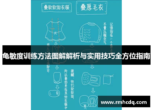 龟敏度训练方法图解解析与实用技巧全方位指南